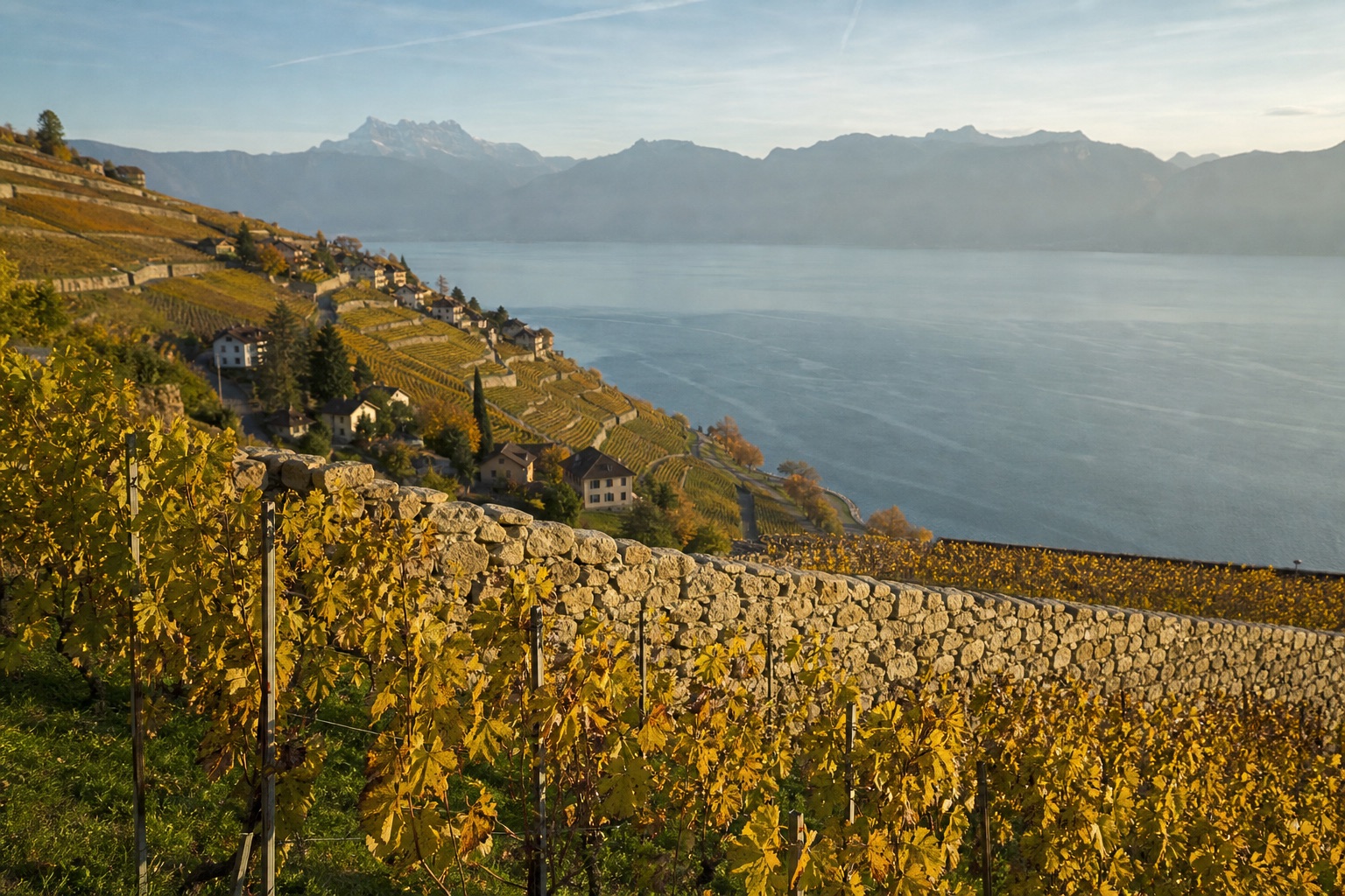 Lavaux, terrasses classées à l'UNESCO
